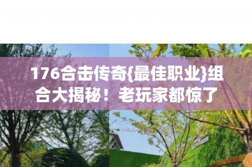 176合击传奇图片