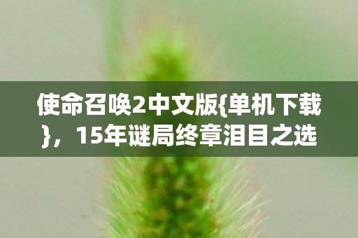 15年谜局终章泪目之选图片