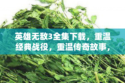 英雄无敌3全集下载图片