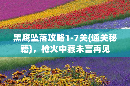 黑鹰坠落攻略1-7关{通关秘籍},枪火中藏未言再见 黑鹰坠落攻略1-7关{通关秘籍},枪火中藏未言再见