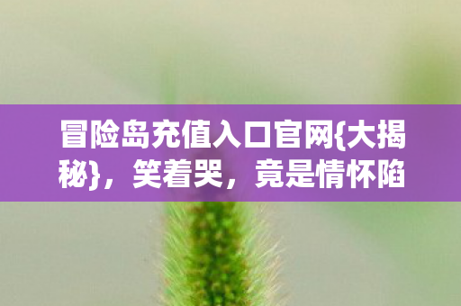 冒险岛充值入口官网图片