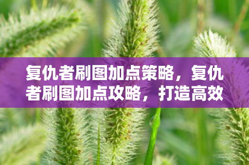 复仇者刷图加点策略,复仇者刷图加点攻略,打造高效战斗体验 复仇者刷图加点策略,复仇者刷图加点攻略,打造高效战斗体验