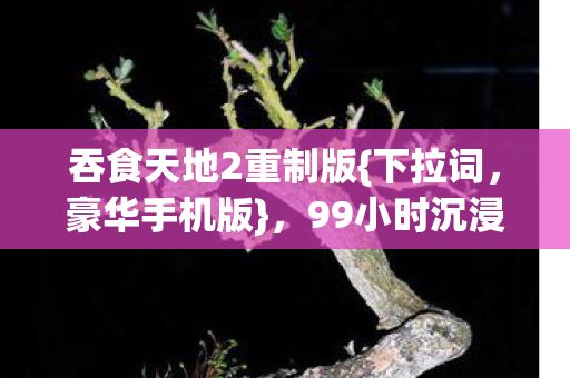 吞食天地2重制版{下拉词,豪华手机版},99小时沉浸找回童年热血 吞食天地2重制版{下拉词,豪华手机版},99小时沉浸找回童年热血