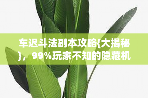 车迟斗法副本攻略{大揭秘}，99%玩家不知的隐藏机制