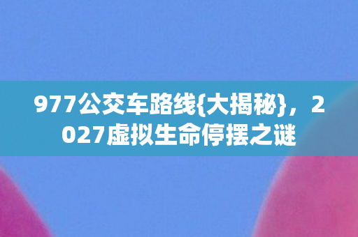 977公交车路线{大揭秘},2027虚拟生命停摆之谜 977公交车路线{大揭秘},2027虚拟生命停摆之谜