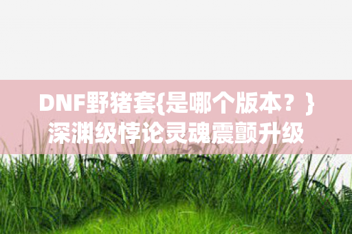DNF野猪套{是哪个版本?}深渊级悖论灵魂震颤升级 DNF野猪套{是哪个版本?}深渊级悖论灵魂震颤升级