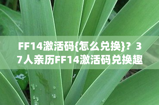 FF14激活码{怎么兑换}?37人亲历FF14激活码兑换趣事 FF14激活码{怎么兑换}?37人亲历FF14激活码兑换趣事