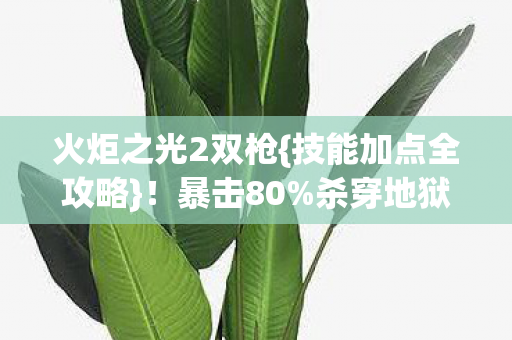 火炬之光2双枪{技能加点全攻略}!暴击80%杀穿地狱 火炬之光2双枪{技能加点全攻略}!暴击80%杀穿地狱