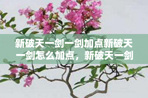 新破天一剑一剑加点新破天一剑怎么加点,新破天一剑加点攻略,如何正确分配技能点? 新破天一剑一剑加点新破天一剑怎么加点,新破天一剑加点攻略,如何正确分配技能点?