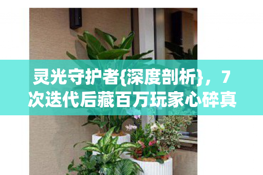 7次迭代后藏百万玩家心碎真相图片