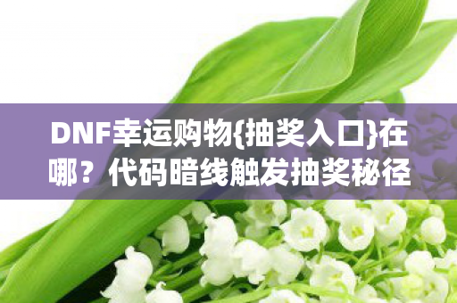 DNF幸运购物{抽奖入口}在哪?代码暗线触发抽奖秘径! DNF幸运购物{抽奖入口}在哪?代码暗线触发抽奖秘径!