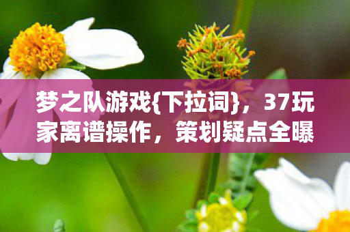 梦之队游戏{下拉词},37玩家离谱操作,策划疑点全曝光 梦之队游戏{下拉词},37玩家离谱操作,策划疑点全曝光