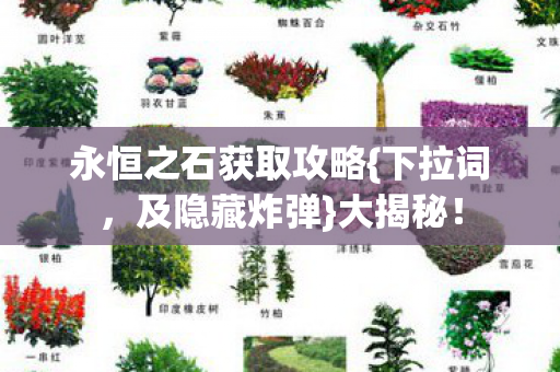 永恒之石获取攻略{下拉词，及隐藏炸弹}大揭秘！