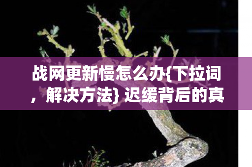 战网更新慢怎么办{下拉词,解决方法} 迟缓背后的真相揭秘 战网更新慢怎么办{下拉词,解决方法} 迟缓背后的真相揭秘