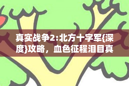 真实战争2:北方十字军{深度}攻略,血色征程泪目真相揭晓 真实战争2:北方十字军{深度}攻略,血色征程泪目真相揭晓