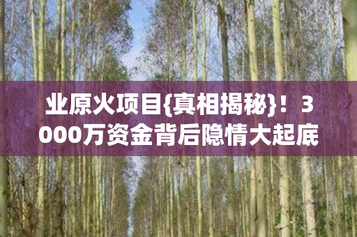 业原火项目{真相揭秘}!3000万资金背后隐情大起底 业原火项目{真相揭秘}!3000万资金背后隐情大起底