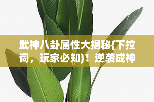 武神八卦属性大揭秘{下拉词，玩家必知}！逆袭成神就靠它