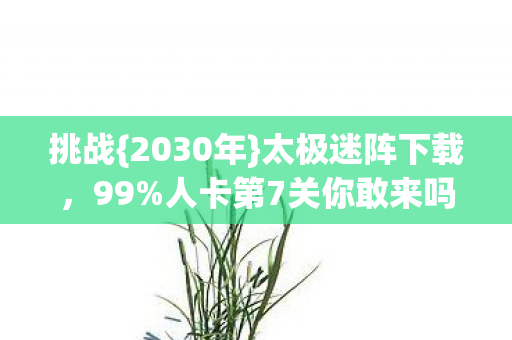 挑战{2030年}太极迷阵下载,99%人卡第7关你敢来吗 挑战{2030年}太极迷阵下载,99%人卡第7关你敢来吗