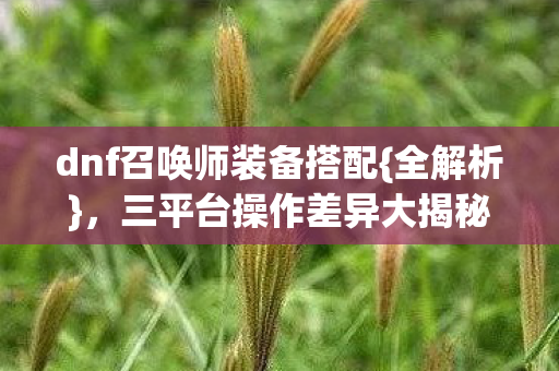 dnf召唤师装备搭配{全解析},三平台操作差异大揭秘 dnf召唤师装备搭配{全解析},三平台操作差异大揭秘