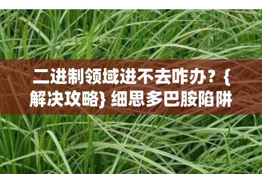 二进制领域进不去咋办?{解决攻略} 细思多巴胺陷阱 二进制领域进不去咋办?{解决攻略} 细思多巴胺陷阱