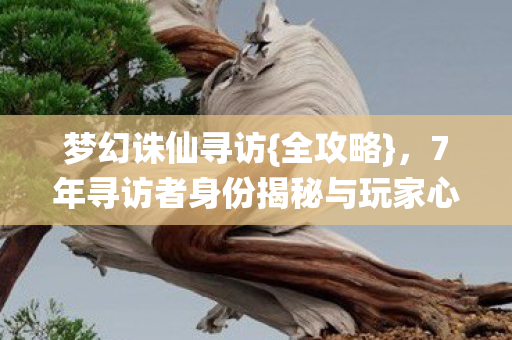 梦幻诛仙寻访{全攻略},7年寻访者身份揭秘与玩家心声 梦幻诛仙寻访{全攻略},7年寻访者身份揭秘与玩家心声