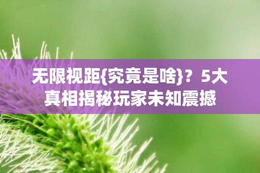 无限视距{究竟是啥}？5大真相揭秘玩家未知震撼