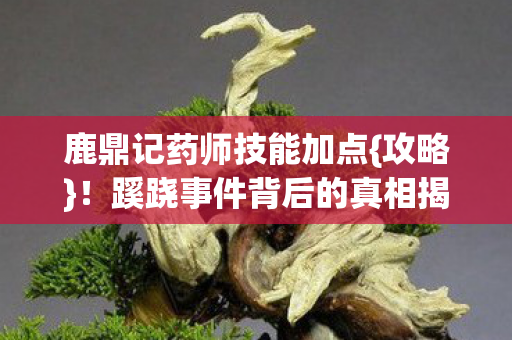 鹿鼎记药师技能加点{攻略}!蹊跷事件背后的真相揭秘 鹿鼎记药师技能加点{攻略}!蹊跷事件背后的真相揭秘
