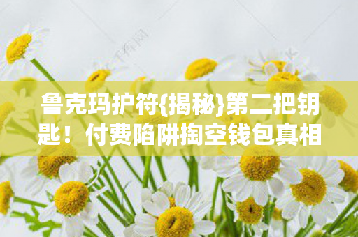 鲁克玛护符{揭秘}第二把钥匙!付费陷阱掏空钱包真相 鲁克玛护符{揭秘}第二把钥匙!付费陷阱掏空钱包真相