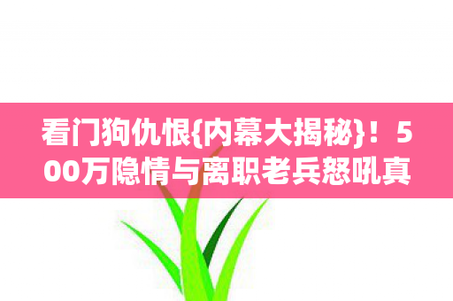 看门狗仇恨{内幕大揭秘}!500万隐情与离职老兵怒吼真相 看门狗仇恨{内幕大揭秘}!500万隐情与离职老兵怒吼真相
