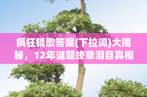 疯狂猜歌答案{下拉词}大揭秘,12年谜题终章泪目真相 疯狂猜歌答案{下拉词}大揭秘,12年谜题终章泪目真相