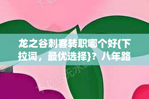 龙之谷刺客转职哪个好{下拉词，最优选择}？八年路终章揭秘