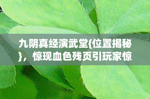 九阴真经演武堂{位置揭秘},惊现血色残页引玩家惊悚 九阴真经演武堂{位置揭秘},惊现血色残页引玩家惊悚
