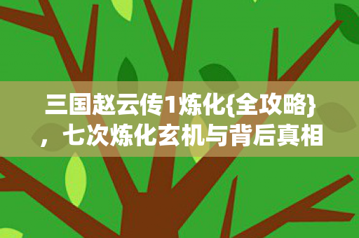 三国赵云传1炼化{全攻略}，七次炼化玄机与背后真相