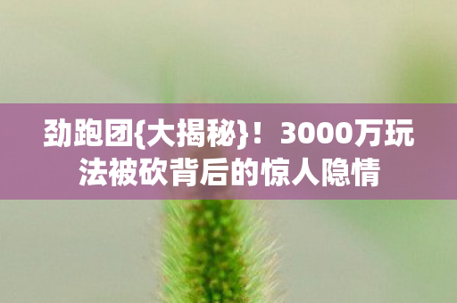 劲跑团{大揭秘}!3000万玩法被砍背后的惊人隐情 劲跑团{大揭秘}!3000万玩法被砍背后的惊人隐情