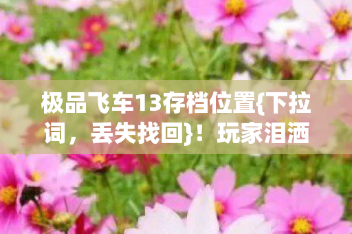 极品飞车13存档位置{下拉词,丢失找回}!玩家泪洒凌晨三点 极品飞车13存档位置{下拉词,丢失找回}!玩家泪洒凌晨三点