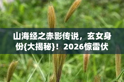 山海经之赤影传说,玄女身份{大揭秘}!2026惊雷伏笔 山海经之赤影传说,玄女身份{大揭秘}!2026惊雷伏笔
