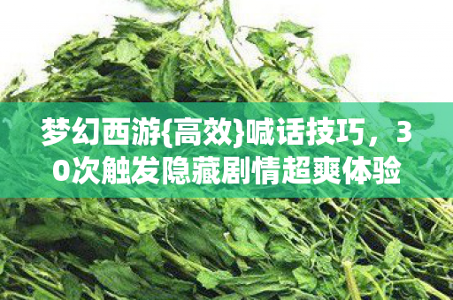 梦幻西游{高效}喊话技巧，30次触发隐藏剧情超爽体验