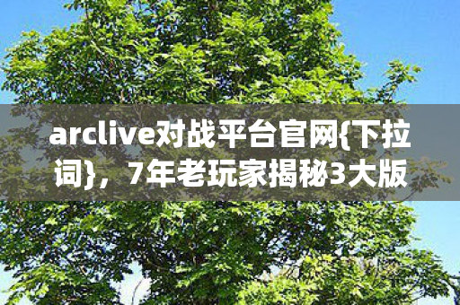 arclive对战平台官网{下拉词}，7年老玩家揭秘3大版本选择