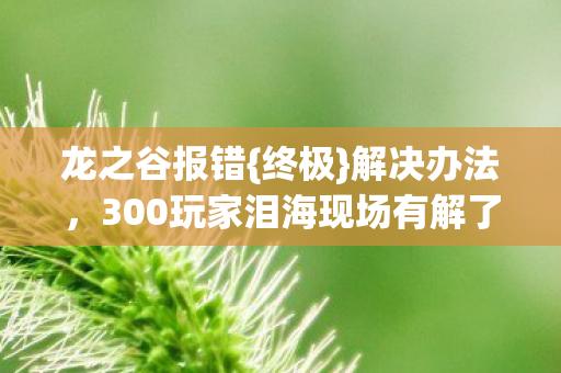 龙之谷报错{终极}解决办法,300玩家泪海现场有解了 龙之谷报错{终极}解决办法,300玩家泪海现场有解了