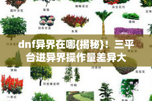 dnf异界在哪{揭秘}!三平台进异界操作量差异大 dnf异界在哪{揭秘}!三平台进异界操作量差异大