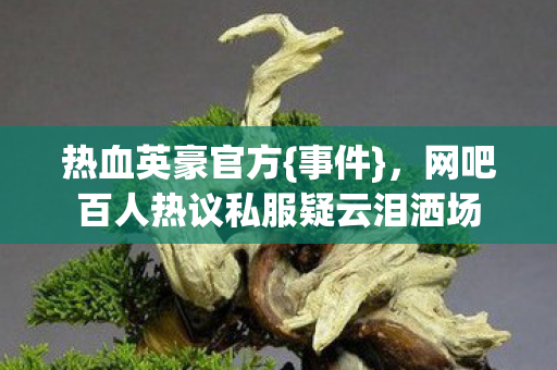 热血英豪官方{事件},网吧百人热议私服疑云泪洒场 热血英豪官方{事件},网吧百人热议私服疑云泪洒场