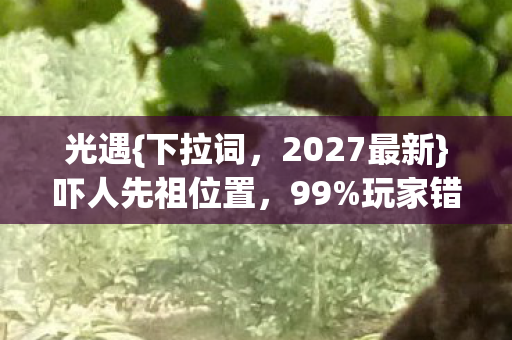 光遇{下拉词,2027最新}吓人先祖位置,99%玩家错过的坐标攻略! 光遇{下拉词,2027最新}吓人先祖位置,99%玩家错过的坐标攻略!