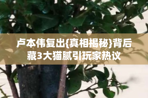 卢本伟复出{真相揭秘}背后藏3大猫腻引玩家热议 卢本伟复出{真相揭秘}背后藏3大猫腻引玩家热议