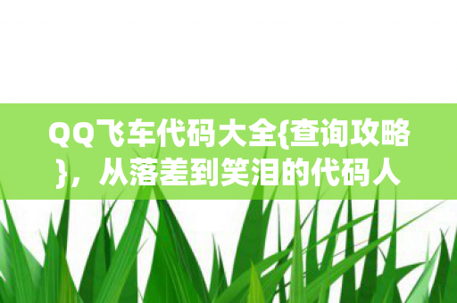 QQ飞车代码大全{查询攻略},从落差到笑泪的代码人生 QQ飞车代码大全{查询攻略},从落差到笑泪的代码人生