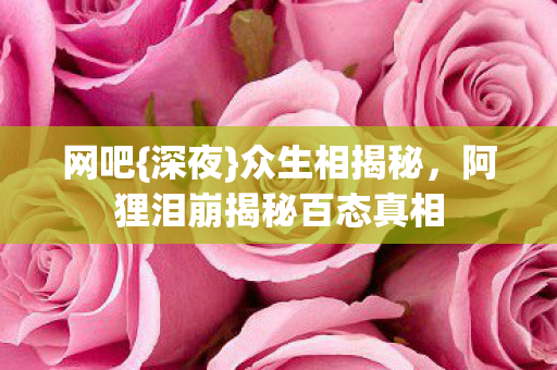 网吧{深夜}众生相揭秘,阿狸泪崩揭秘百态真相 网吧{深夜}众生相揭秘,阿狸泪崩揭秘百态真相