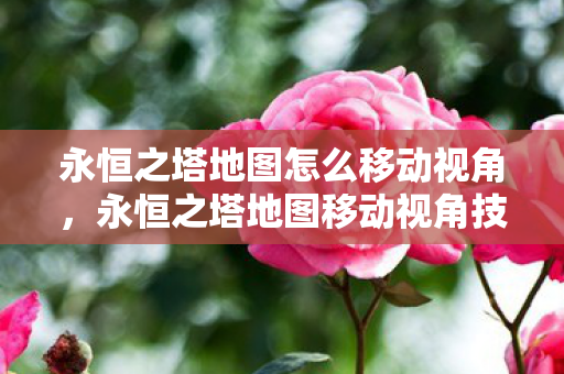 永恒之塔地图怎么移动视角图片