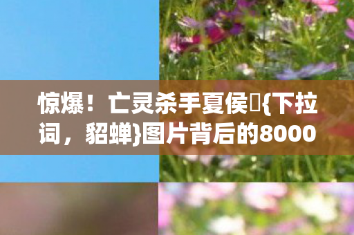 惊爆！亡灵杀手夏侯惇{下拉词，貂蝉}图片背后的8000万隐情