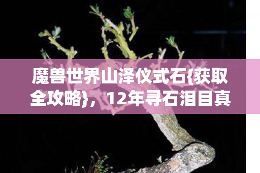 魔兽世界山泽仪式石{获取全攻略}，12年寻石泪目真相
