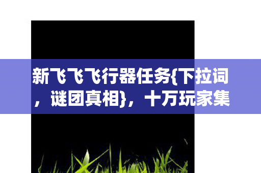新飞飞飞行器任务图片