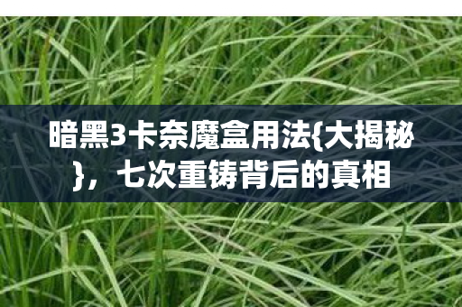 暗黑3卡奈魔盒用法图片
